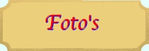 Foto's